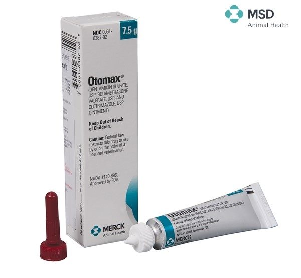 image_1558175891495694638985